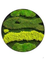 Round Moss Picture with Mixed Moss