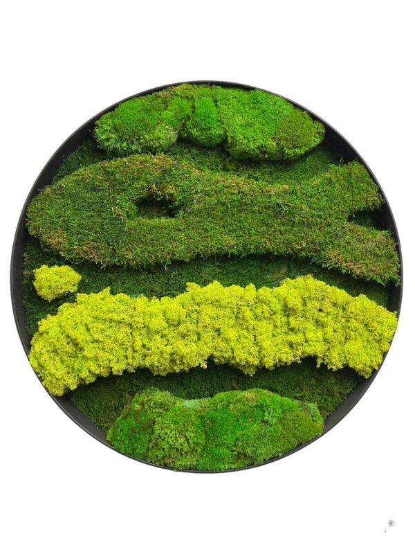 Round framed moss wall art featuring layered varieties of textured preserved moss.