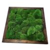 Angled perspective of square green ball moss wall art encased in a dark brown wooden frame