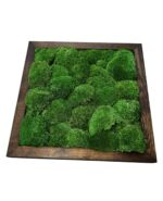 Framed Reindeer Moss Picture (Moss Wall Art) - Image 5
