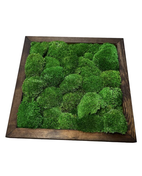 Framed Reindeer Moss Picture (Moss Wall Art) - Image 5