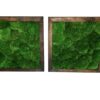 Pair of square green bun moss wall art panels in dark brown wood frames against a white background