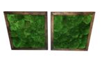 Framed Reindeer Moss Picture (Moss Wall Art) - Image 6