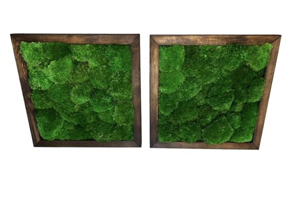 Framed Reindeer Moss Picture (Moss Wall Art) - Image 6