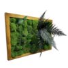 photoroom-20230129-100133.jpg Rectangular framed preserved moss wall art featuring textured ball moss and botanical foliage.