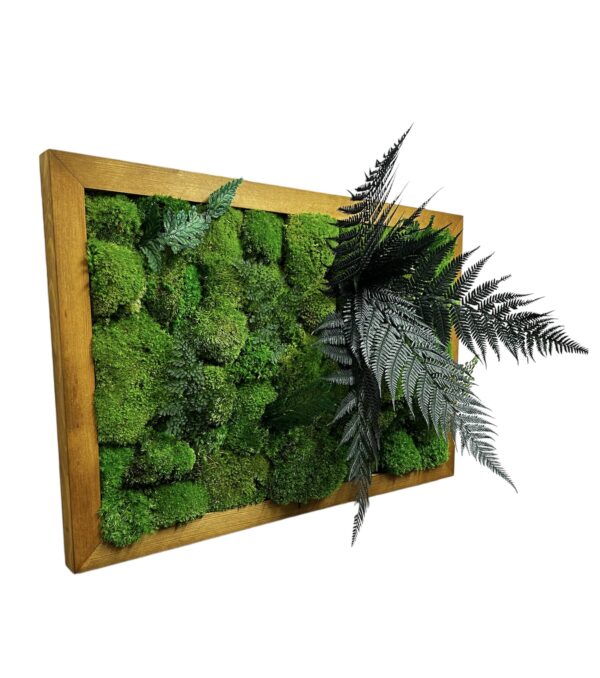 photoroom-20230129-100133.jpg Rectangular framed preserved moss wall art featuring textured ball moss and botanical foliage.
