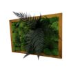 photoroom-20230129-100206.jpg Preserved green ball moss wall decor in a natural wood frame with projecting dark fern fronds.