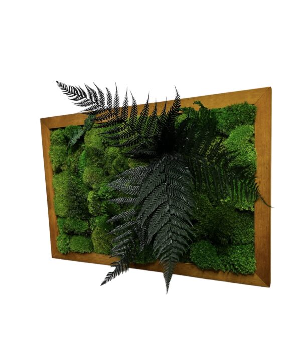 Moss Wall Art with Bun Moss and Plants - Image 2