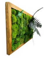 Moss Wall Art with Bun Moss and Plants - Image 3