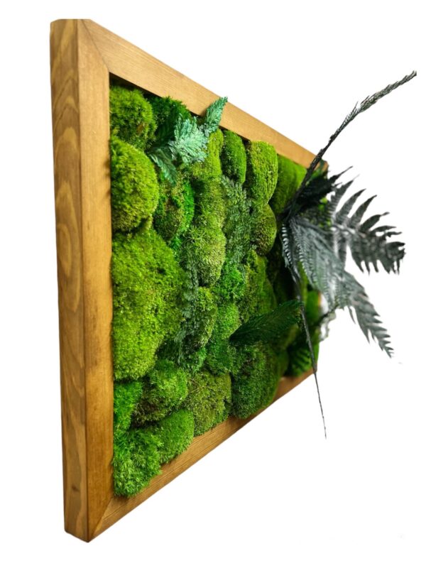 Moss Wall Art with Bun Moss and Plants - Image 3