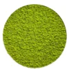 Round reindeer moss wall art filled with textured spring green moss against a plain white background.