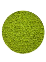 XXL Moss Wall Art with Iceland Moss - Image 3