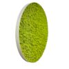 Side view of round wall art panel with slim white frame and textured green reindeer moss