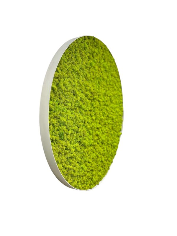 Round Moss Wall Art 3-Piece Set with Reindeer Moss - Image 3