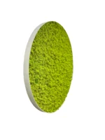 Ekomoss Round DIY Moss Picture Set – Reindeer Moss - Image 12
