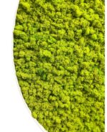 Round Moss Wall Art 3-Piece Set with Reindeer Moss - Image 4