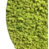 Close-up of textured green reindeer moss filling a round wall art panel with a white frame