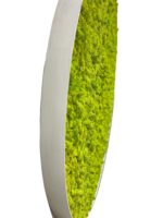 Round Moss Wall Art 3-Piece Set with Reindeer Moss - Image 5