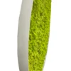 Side view of round reindeer moss wall art showing textured bright green moss and white frame edge.