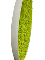 Ekomoss Round DIY Moss Picture Set – Reindeer Moss - Image 11