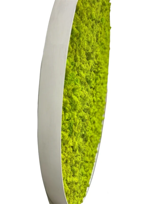 Ekomoss Round DIY Moss Picture Set – Reindeer Moss - Image 11