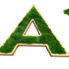 3D wooden letter A filled with preserved green ball moss on a white background