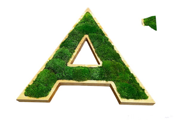 3D Wooden Letters for Logo with Provence Moss A-Z 0-9 - Image 6