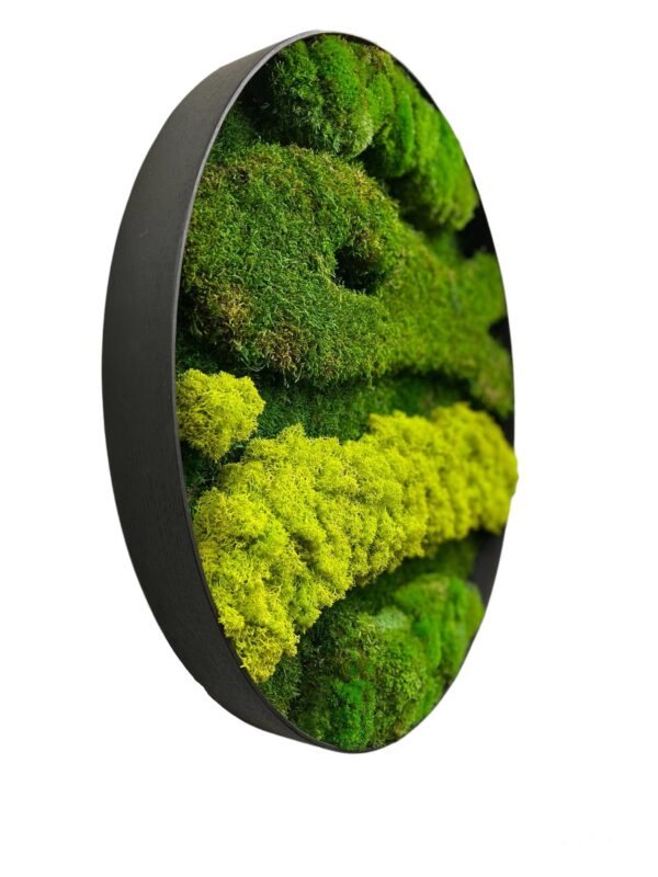 Round Moss Picture with Mixed Moss - Image 2