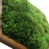 photoroom-20230409-175413_result.webp Close-up of a hexagon moss wall art panel with a natural wood frame and textured green moss