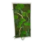 Moss Wall Art with Plants, Driftwood and LED Lighting