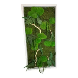 Moss Wall Art with Plants, Driftwood and LED Lighting