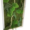 Preserved moss wall art in white frame with ferns, driftwood, and illuminated inner LED strip against white background.