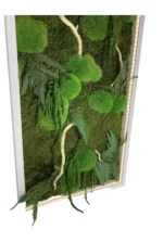 Moss Wall Art with Plants, Driftwood and LED Lighting - Image 2