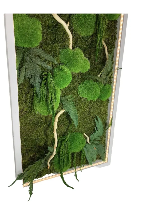 Moss Wall Art with Plants, Driftwood and LED Lighting - Image 2
