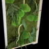 Preserved moss wall art with driftwood, ferns, and glowing inner LED light strip in white frame against black background.