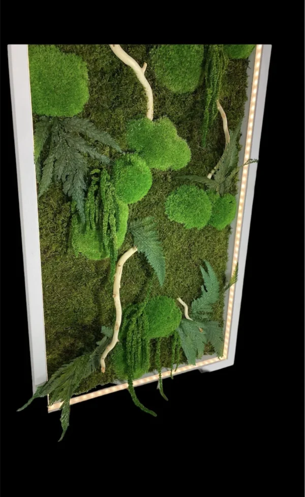 Moss Wall Art with Plants, Driftwood and LED Lighting - Image 3