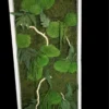 Rectangular moss wall art with preserved ferns, driftwood branches, and green moss clusters in a white wooden frame