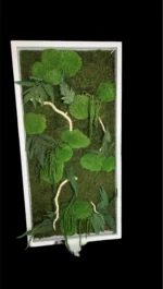 Moss Wall Art with Plants, Driftwood and LED Lighting - Image 4