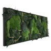 Rectangular moss wall art in a black frame with green pillow moss, preserved ferns, and wood branches.