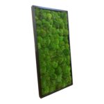 XXL Moss Wall Art – Giant Cushion Moss Picture - Image 4