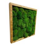 Framed Reindeer Moss Picture (Moss Wall Art) - Image 10