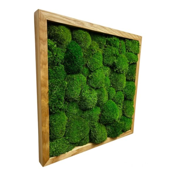 Framed Reindeer Moss Picture (Moss Wall Art) - Image 10