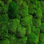 Moss Panel with Ball Moss