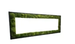 Framed Mirror with Moss - Image 8
