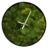 Round wall clock filled with preserved moss, featuring minimalist hands and slim frame on white background.