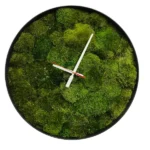 Round Moss Clock with Provence Moss