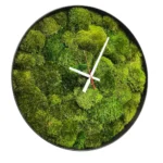 Round Moss Clock with Provence Moss - Image 2