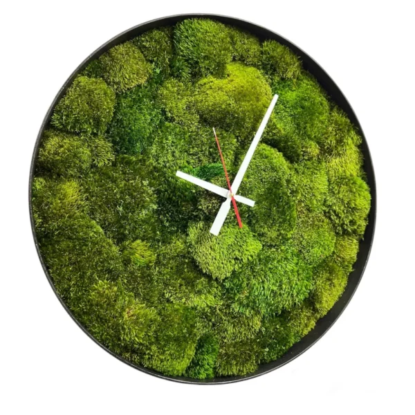 Round Moss Clock with Provence Moss - Image 2
