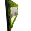 Rectangular mirror with black wood frame and textured green ball moss border, side profile view
