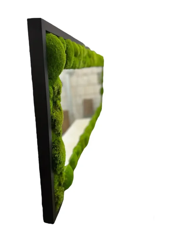 Framed Mirror with Moss - Image 6